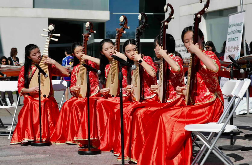 Museum of Fine Arts Houston